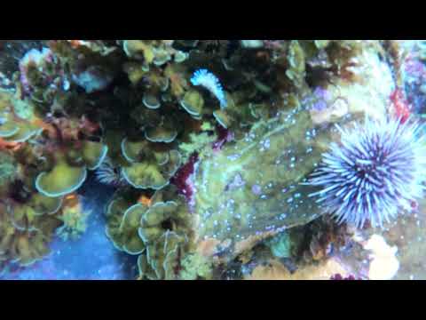 AdvancedOpen 10 06 22