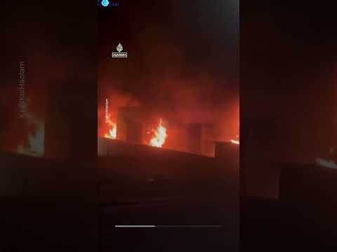 Ambulances belonging to Jewish volunteer organisation set on fire in London