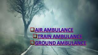 Comfortable Service provider by Global Air Ambulance in Varanasi
