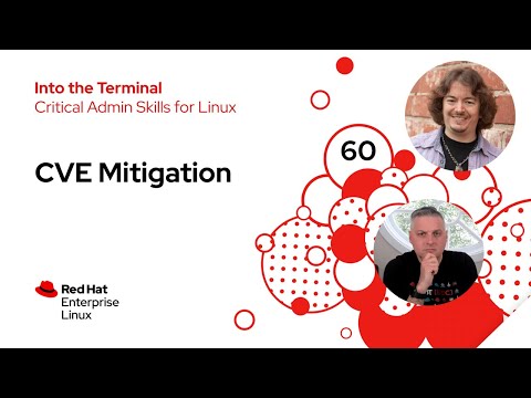 Security: CVE Mitigation | Into the Terminal 60