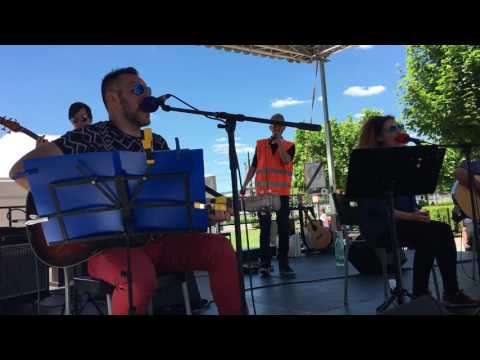 Czutorborsók - Sárga, sárga, sárga, sárga (MÜPA live 2017.05.28.)