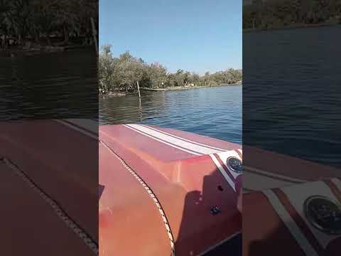 bermuda ss en Villa Rumipal. Córdoba. Argentina