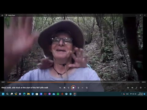 Hinau walk, side track at the start of the Mt Fyffe walk