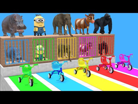 Long Slide Game with Cow Elephant Gorilla Hippopotamus Tiger 3d Animal Game Funny 3d Animals