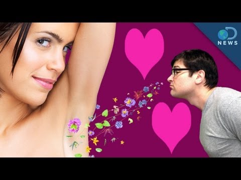 Láska smrdí aneb síla přitažlivosti