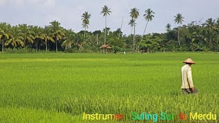 Download lagu SULING SUNDA MERDU DENGAN BACKGROUND ALAM PEDESAAN | INSTRUMENTAL SUARA SULING SUNDA mp3