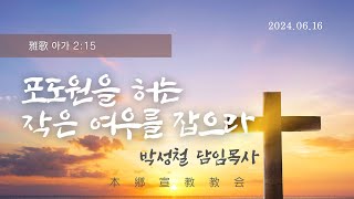 2024년6월16일, 雅歌 아가 2:15(포도원을 허는 작은 여우를 잡으라)