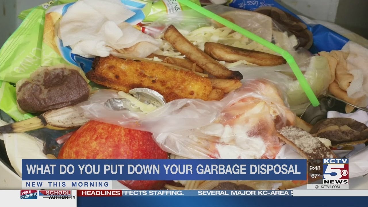 Foods that are safe for your garbage disposal
