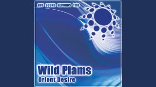 Orient Desire (Original Mix)