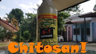 Ep.15 This quite possibly is CHEATING in your garden! (Pre and Post Compost Tea treatment)