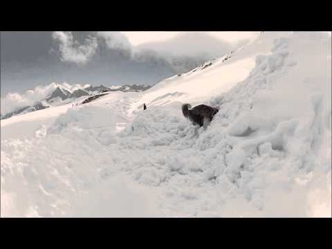 Lawinenhundekurs -2012 / A