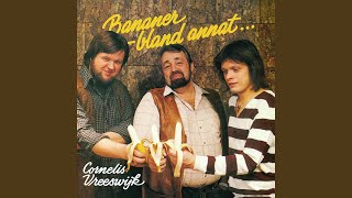 The Bananrepubliken sång