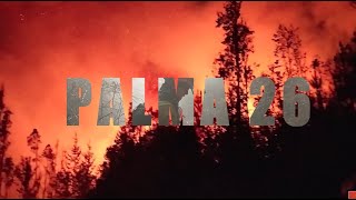 Conaf 2019 2020 palma 26