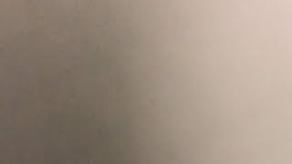 雑談配信！