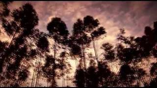 The Most Relaxing Song - Electra