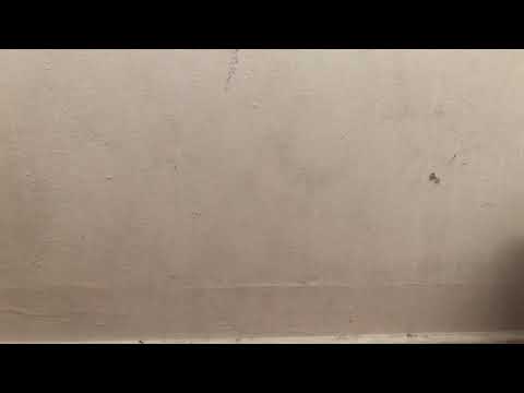 Unboxing Foxy from LankyBox!