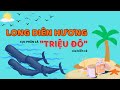 Long diên hương "Cục phân cá" TRIỆU ĐÔ đến từ biển cả!