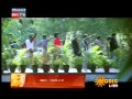 Babilona By Naresgh Mpg