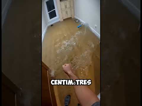 L'eau de l'inondation envahissait notre maison… puis nous avons réalisé que le chiot avait disparu.