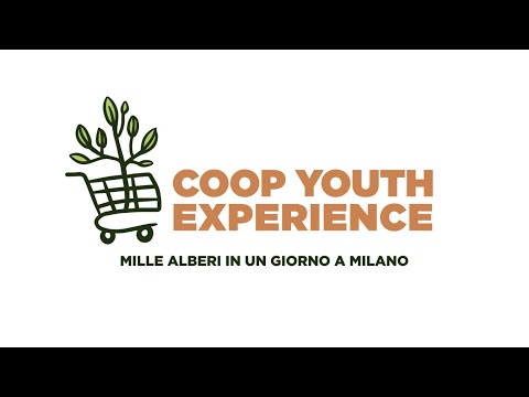 Anteprima video