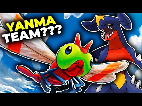 How Is This YANMA Team Actually GOOD?!...