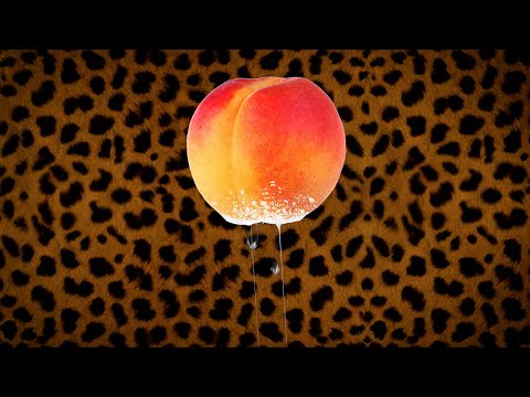 Transleiteris - Slapā puse (Cardi B - WAP feat Megan Thee Stallion LV cover)