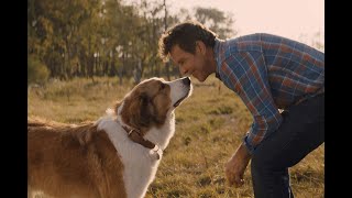 Phillip Phillips - Gone, Gone, Gone(From the movie A Dog&#39;s Journey)