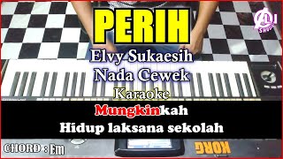 Download lagu PERIH Karaoke Nada Cewek | Cover Dangdut Korg Pa3x (Chord&Lirik) mp3