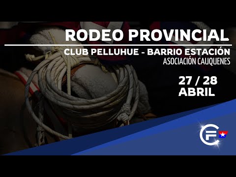 1ra. SERIE LIBRE - RODEO PROVINCIAL CLUB PELLUHUE BARRIO ESTACION - ASOC. CAUQUENES
