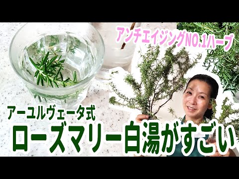 医療ビジネス薬科学科 アーユルヴェータ式ローズマリー白湯がすごい！