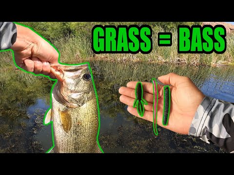 Bass Fishing - Pitching Finesse Baits In Heavy Grass - Pond Prowler 8 Boat