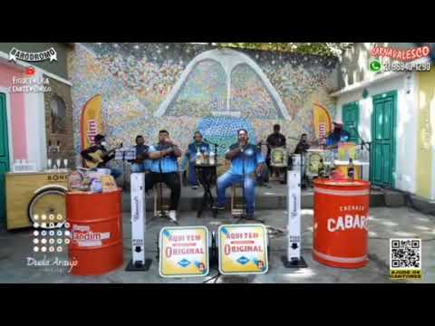 Viradouro 2001- S.E.R "Samba Enredo de Raiz"