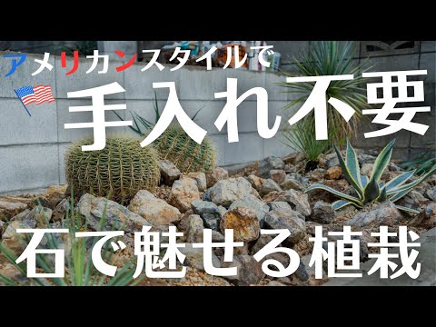 庭に塩をまく：植物にとって有益ですか？  庭園