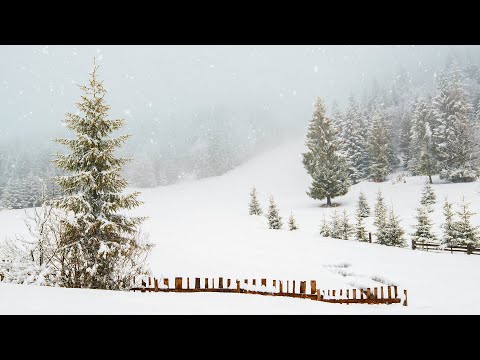 Peaceful Christmas Carols, Soft Holiday Christmas Music "Peaceful Christmas Evergreen" by Tim Janis