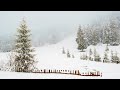 Peaceful Christmas Carols Soft Holiday Christmas Music Peaceful Christmas Evergreen By Tim Janis