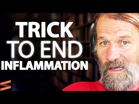 3 TRICKS REDUCE Inflammation & NEVER GET SICK! | Wim Hof & Lewis Howes