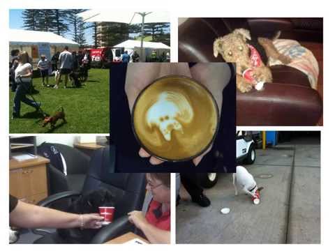 2012 Cafe2U Conference Hype Reel