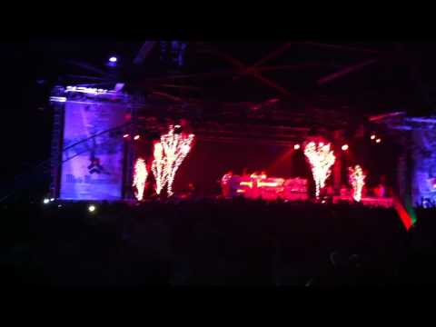 An21 and Max Vangeli - Lionheart (Afrojack) and Rattle (Bingo Players)