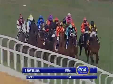 2014.07.05 Zulu Kingdom Explorer Golden Slipper - Bilateral