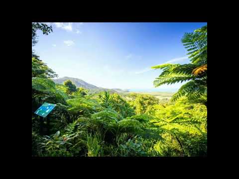 MWEYA MUTSVENE HABAKKUK APOSTOLIC FAITH MISSION