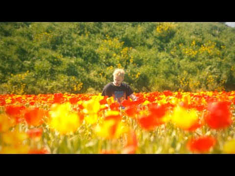 Lantlos - Daisies [Official Music Video]
