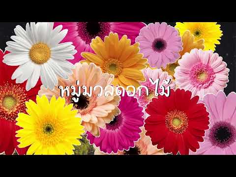 ดอกไม้ - OZEEOOS X WHALJAY (Prod.NOPPASIN)