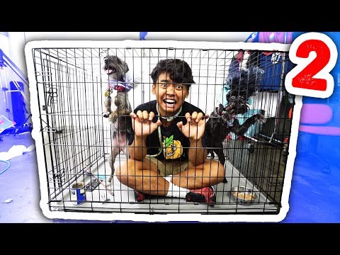 Escape The Dog Cage 2! Video
