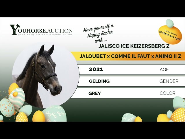 Jalisco Ice Keizersberg Z