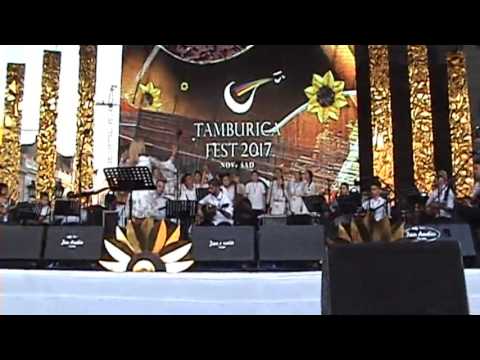 Tamburica fest 2017  Mošo Stevan