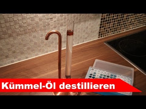 🌷 Kümmel destillieren 🌻 - ätherisches Öl selber machen - diSTILLed