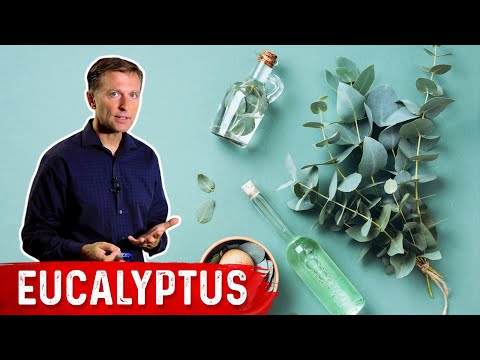 The Top 3 Best Gallbladder Herbs