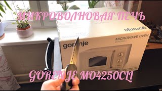 Обзор микроволновой печи Gorenje MO4250CLI