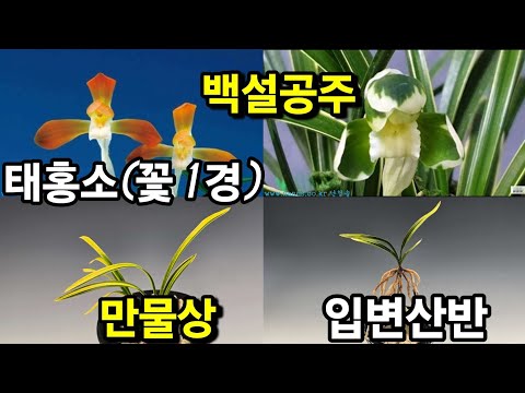 유튜브 썸네일