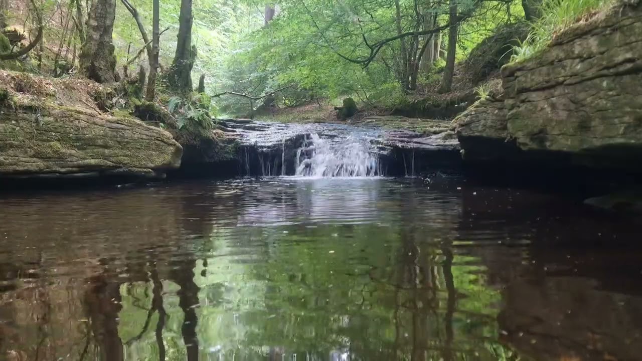 Peaceful Waterfall Sounds | White Noise for Sleep & Deep Relaxation | 30 Minutes of Nature Ambience